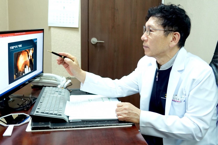 일산, 화정, 성형외과, 피부과, 모발이식, 하안검수술, 상안검수술, 실리프팅, 필러, 안면거상술, 눈썹거상술, 보톡스, 점빼기, 점제거, 여드름흉터치료, 여드름치료, 레이저토닝, 제모, 지방흡입, 여유증, 파주, 김포 차로 30분, 원당역, 능곡역, 토당동, 행신동, 백석역, 마두역, 김현세원장